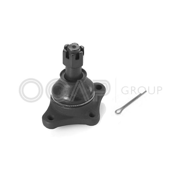 Šarnyras / girgždukas OCAP 0404576