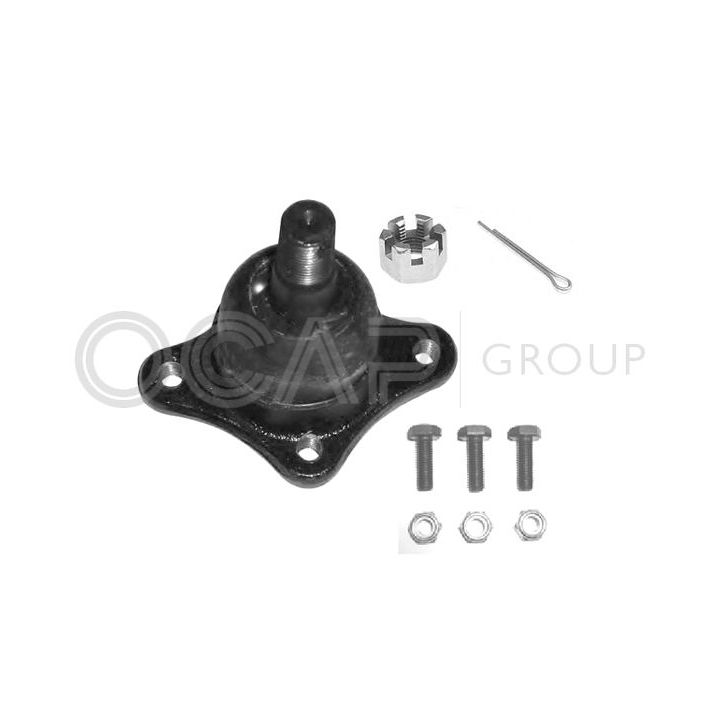 Šarnyras / girgždukas OCAP 0404577