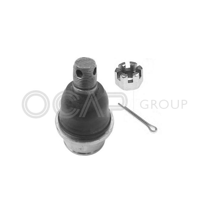 Šarnyras / girgždukas OCAP 0404580