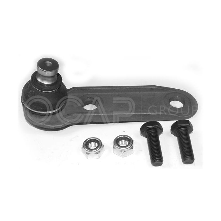 Šarnyras / girgždukas OCAP 0404612