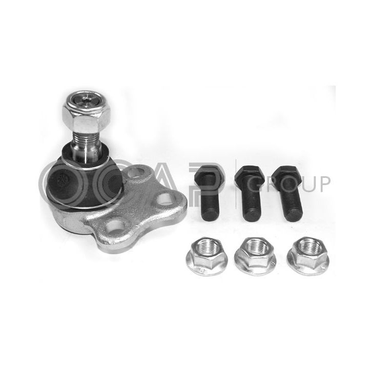 Šarnyras / girgždukas OCAP 0404627