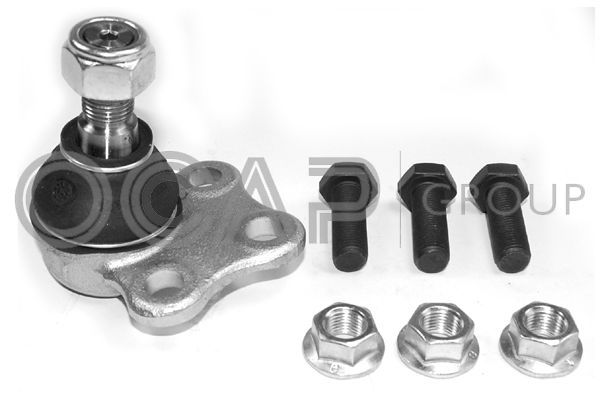 Šarnyras / girgždukas OCAP 0404627