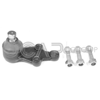 Šarnyras / girgždukas OCAP 0405195