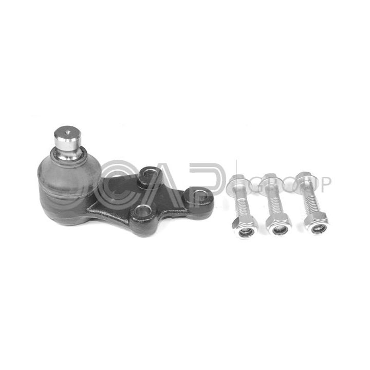 Šarnyras / girgždukas OCAP 0405195