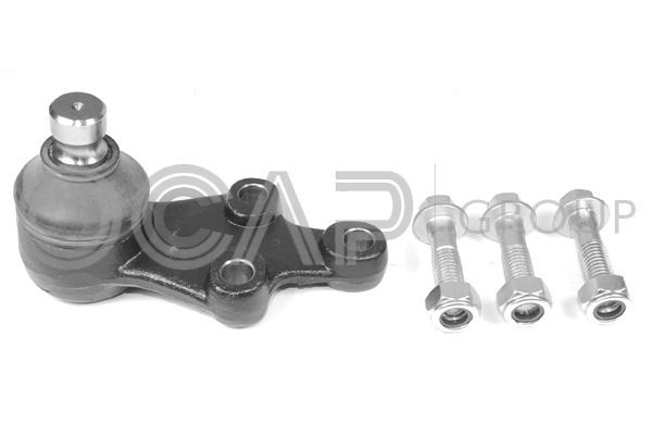 Šarnyras / girgždukas OCAP 0405195