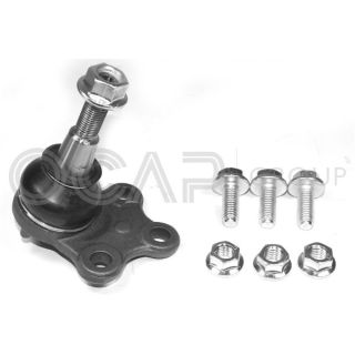 Šarnyras / girgždukas OCAP 0405336