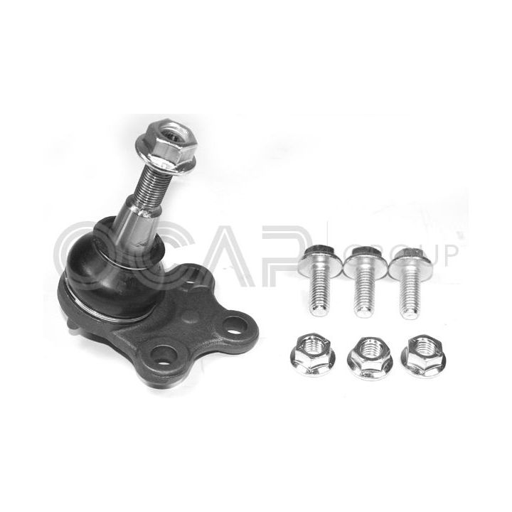 Šarnyras / girgždukas OCAP 0405336