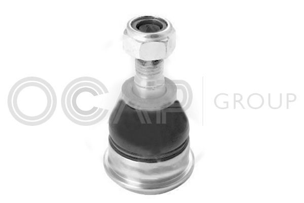 Šarnyras / girgždukas OCAP 0405339