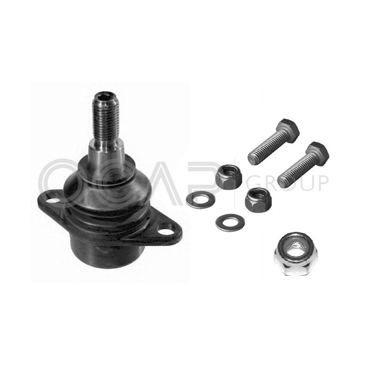 Šarnyras / girgždukas OCAP 0405348