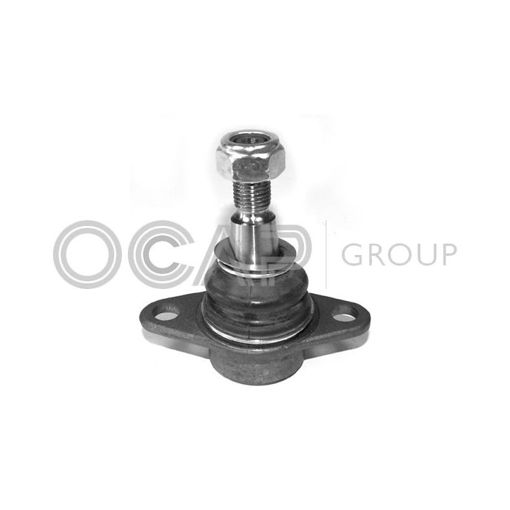 Šarnyras / girgždukas OCAP 0405560