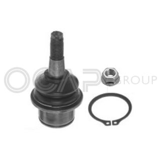 Šarnyras / girgždukas OCAP 0405592