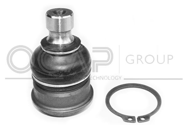 Šarnyras / girgždukas OCAP 0405598