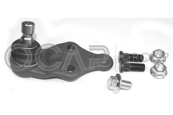 Šarnyras / girgždukas OCAP 0405738