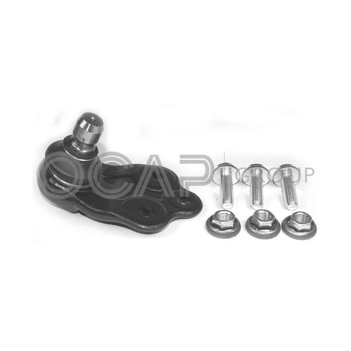 Šarnyras / girgždukas OCAP 0405752