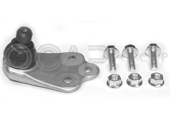 Šarnyras / girgždukas OCAP 0405754