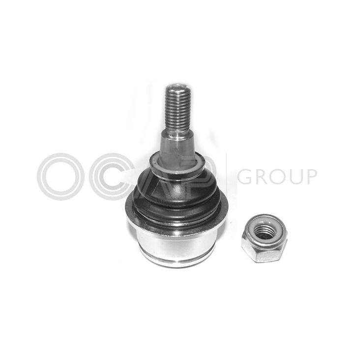 Šarnyras / girgždukas OCAP 0405756