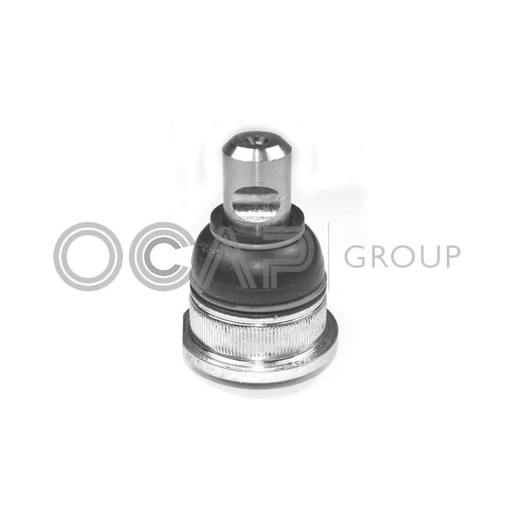 Šarnyras / girgždukas OCAP 0405770
