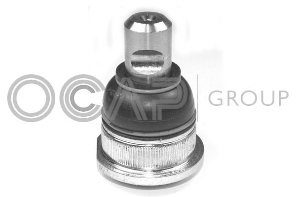 Šarnyras / girgždukas OCAP 0405770