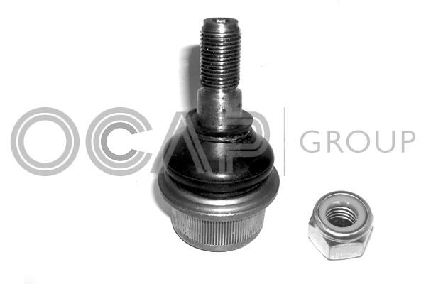Šarnyras / girgždukas OCAP 0407249