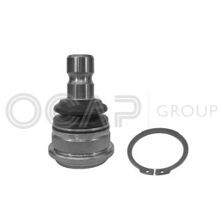 Šarnyras / girgždukas OCAP 0408094