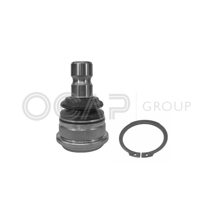 Šarnyras / girgždukas OCAP 0408094