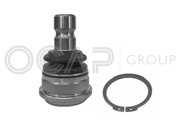 Šarnyras / girgždukas OCAP 0408094