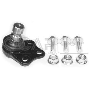 Šarnyras / girgždukas OCAP 0408502