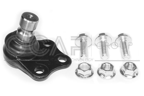 Šarnyras / girgždukas OCAP 0408502