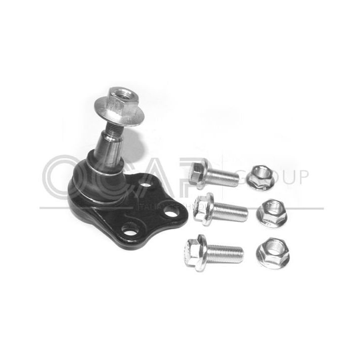 Šarnyras / girgždukas OCAP 0408503