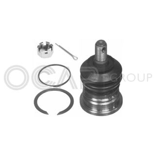 Šarnyras / girgždukas OCAP 0409283