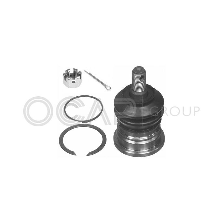 Šarnyras / girgždukas OCAP 0409283