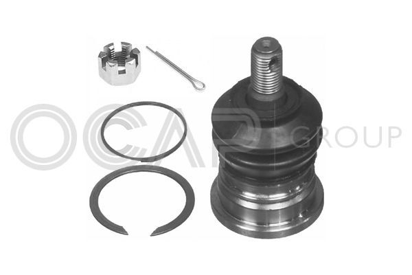 Šarnyras / girgždukas OCAP 0409283