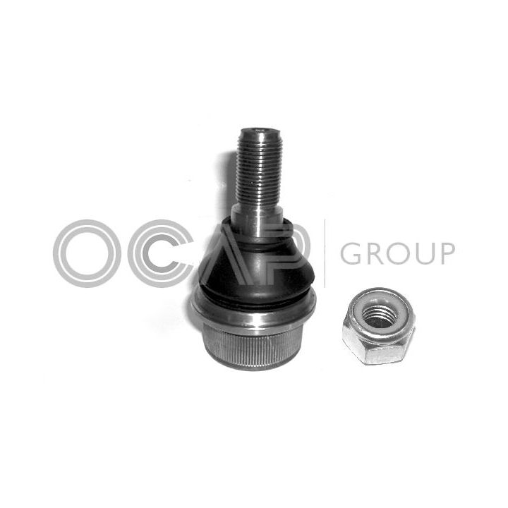 Šarnyras / girgždukas OCAP 0409423