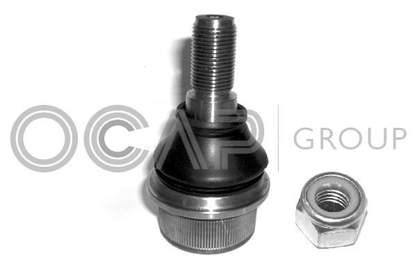 Šarnyras / girgždukas OCAP 0409423