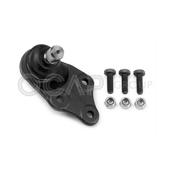 Šarnyras / girgždukas OCAP 0482532