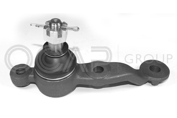 Šarnyras / girgždukas OCAP 0489282