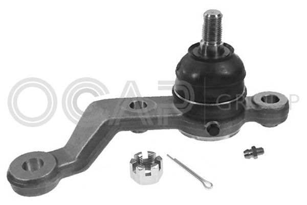 Šarnyras / girgždukas OCAP 0489285