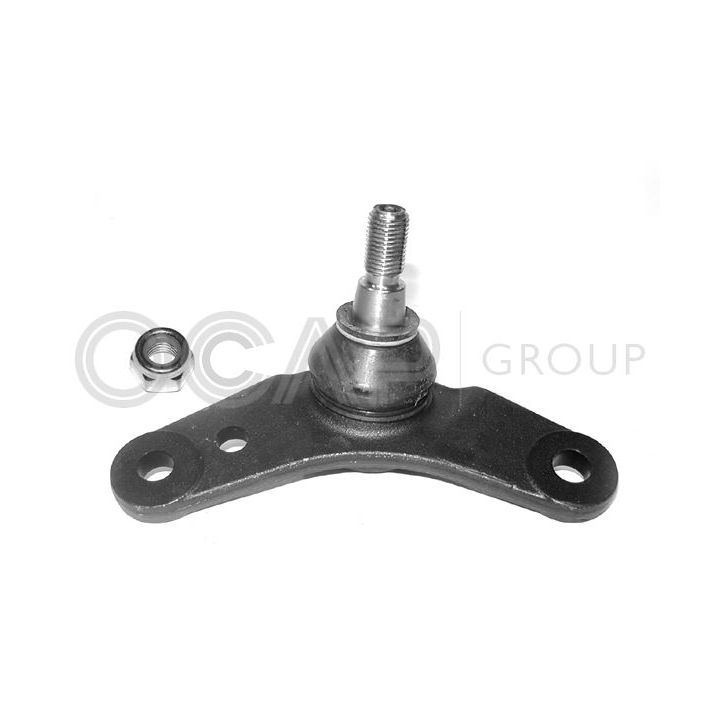 Šarnyras / girgždukas OCAP 0491866