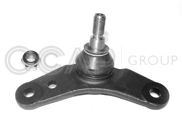 Šarnyras / girgždukas OCAP 0491866