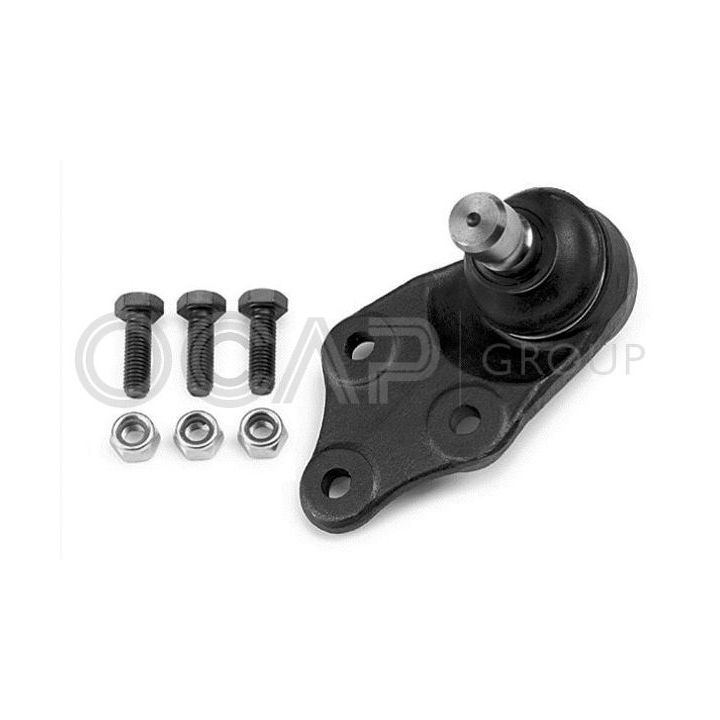 Šarnyras / girgždukas OCAP 0492532