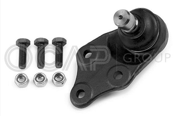 Šarnyras / girgždukas OCAP 0492532