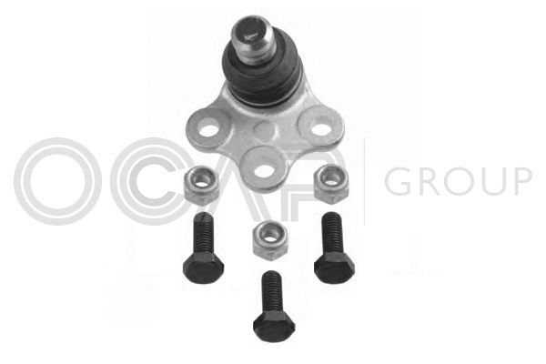 Šarnyras / girgždukas OCAP 0493214