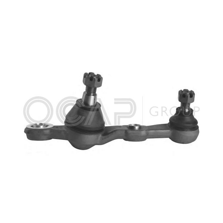 Šarnyras / girgždukas OCAP 0495497