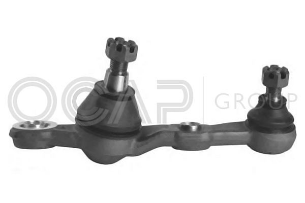 Šarnyras / girgždukas OCAP 0495497