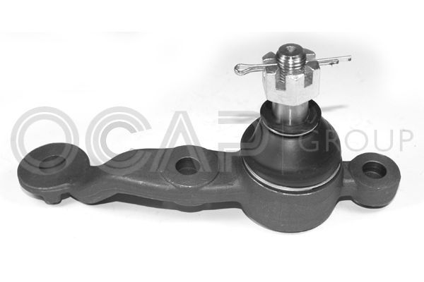 Šarnyras / girgždukas OCAP 0499282