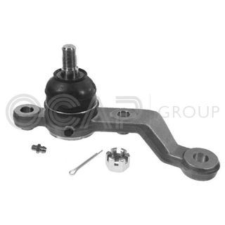 Šarnyras / girgždukas OCAP 0499285