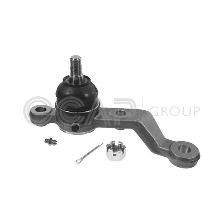 Šarnyras / girgždukas OCAP 0499285