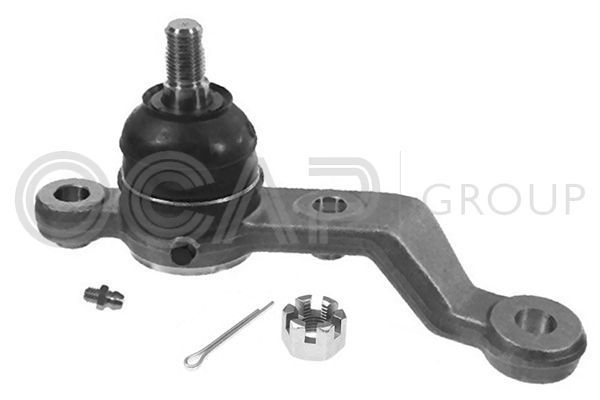 Šarnyras / girgždukas OCAP 0499285