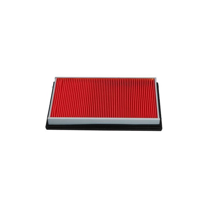 Oro filtras KAVO PARTS NA-289S