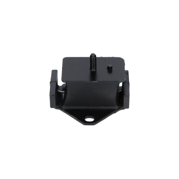 Variklio montavimas KAVO PARTS EEM-3002